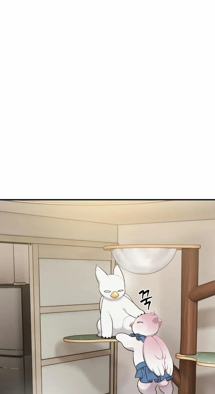 Hello, Griffin the Fluffy Bird! Chapter 18 page 93 - 