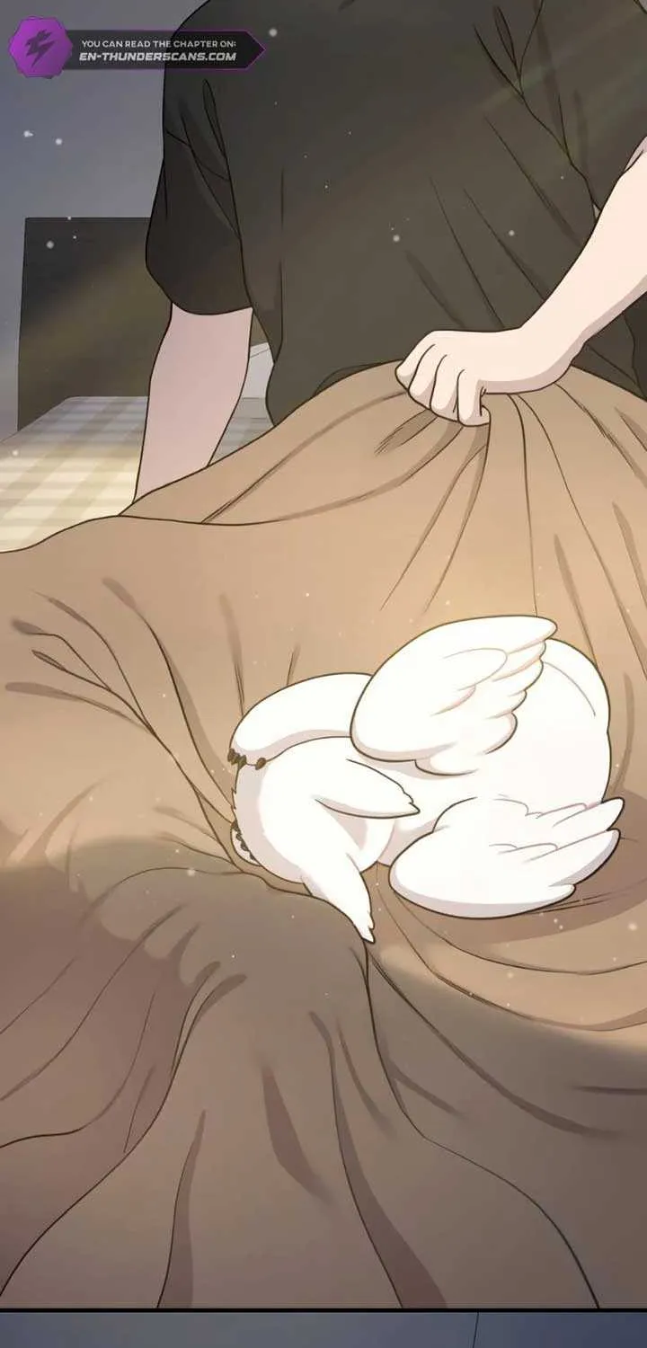 Hello, Griffin the Fluffy Bird! Chapter 2 page 107 - 
