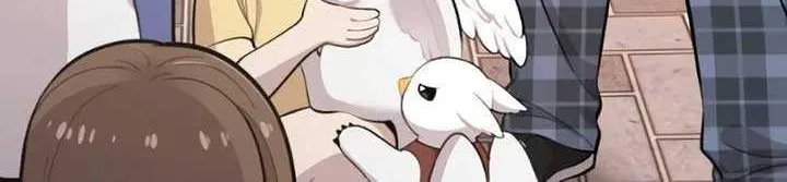 Hello, Griffin the Fluffy Bird! Chapter 2 page 26 - 
