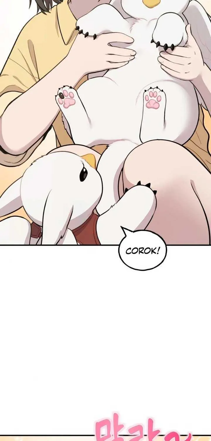 Hello, Griffin the Fluffy Bird! Chapter 2 page 28 - 