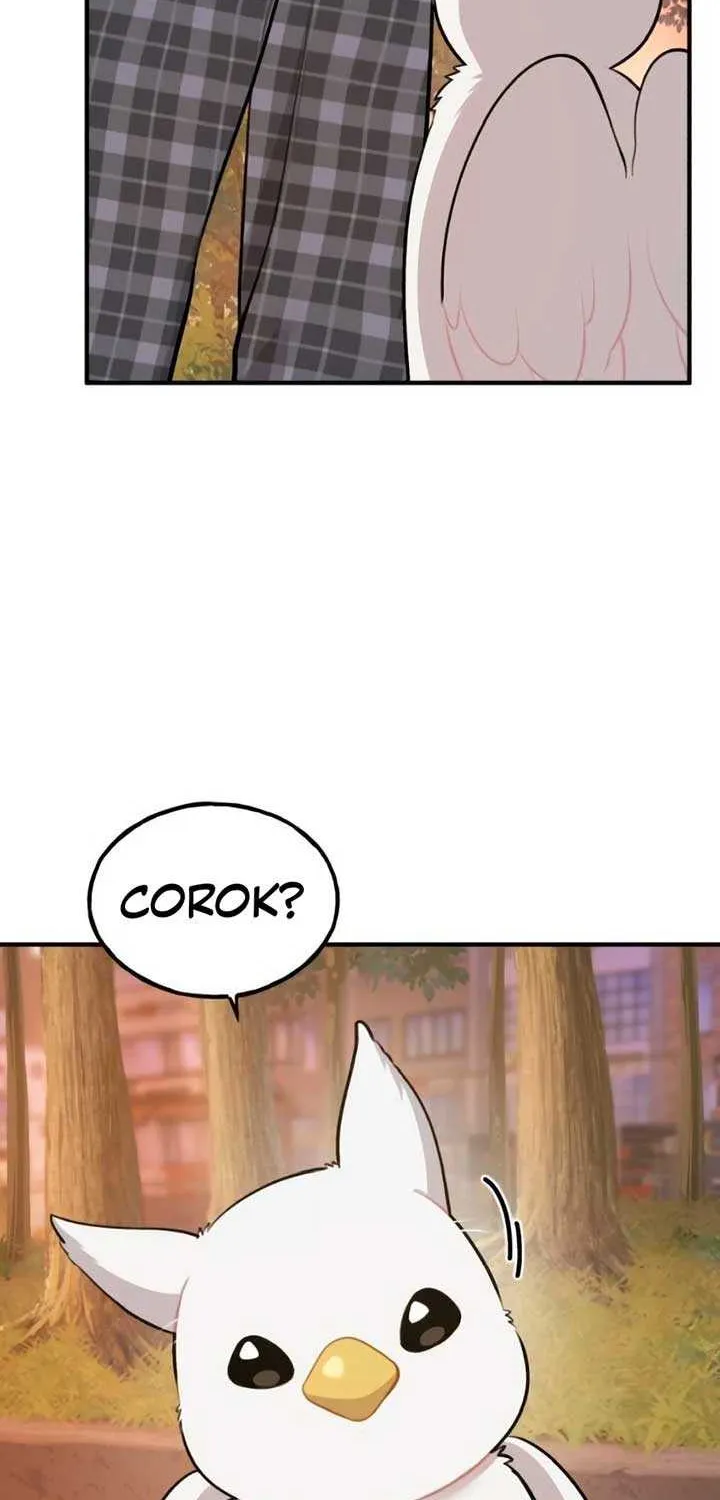 Hello, Griffin the Fluffy Bird! Chapter 2 page 36 - 