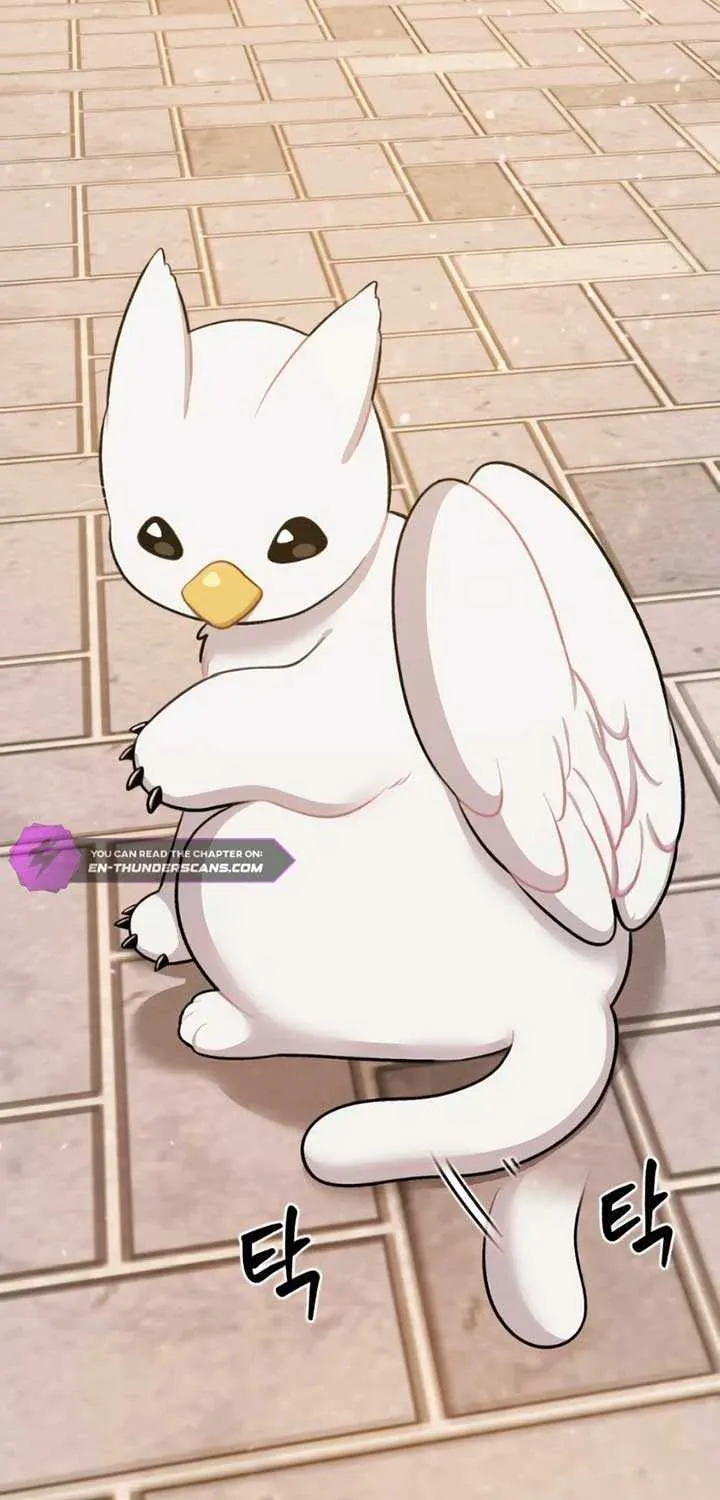 Hello, Griffin the Fluffy Bird! Chapter 2 page 39 - 