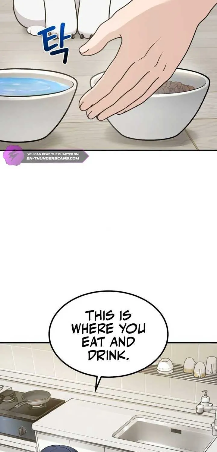 Hello, Griffin the Fluffy Bird! Chapter 2 page 60 - 