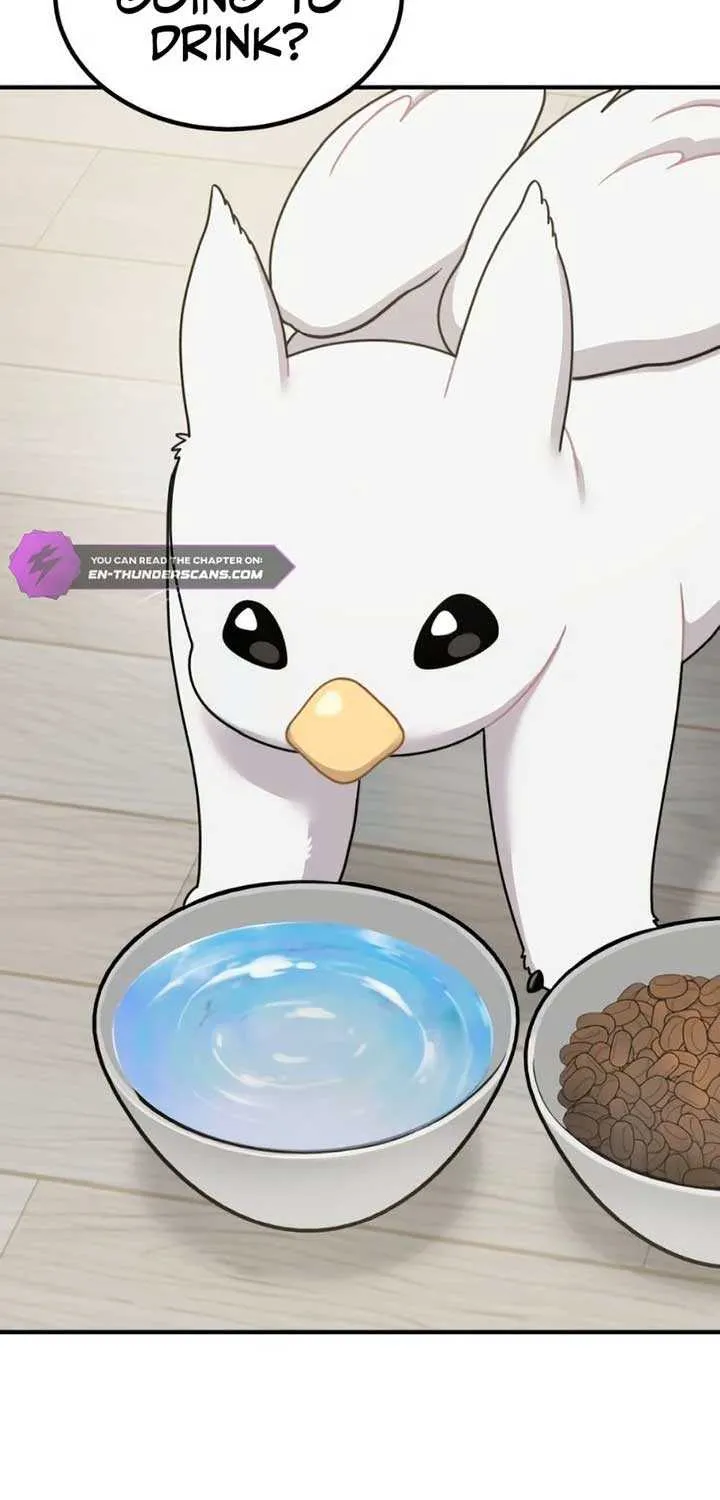 Hello, Griffin the Fluffy Bird! Chapter 2 page 62 - 