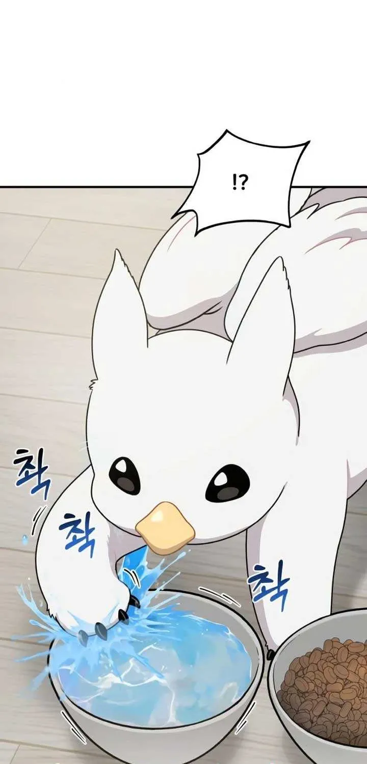 Hello, Griffin the Fluffy Bird! Chapter 2 page 63 - 