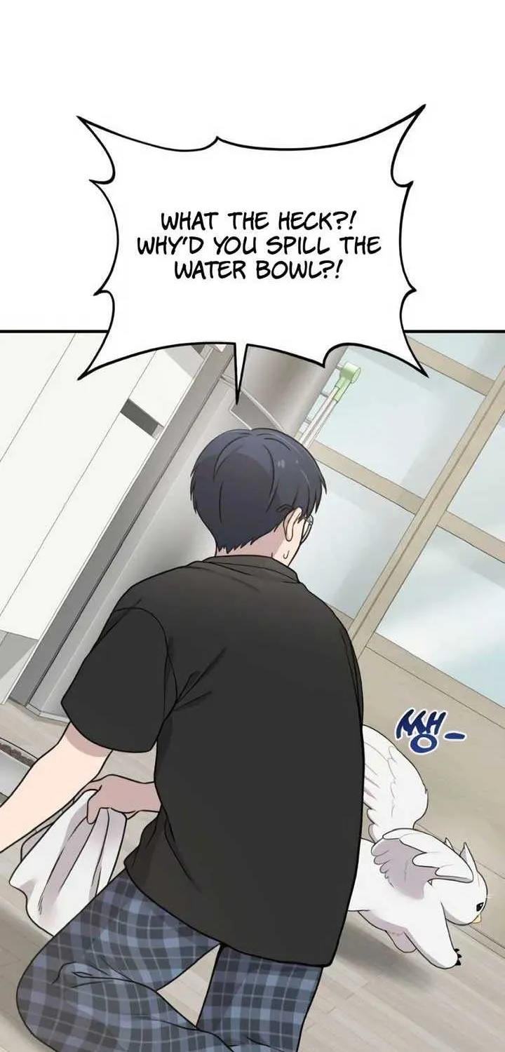Hello, Griffin the Fluffy Bird! Chapter 2 page 66 - 