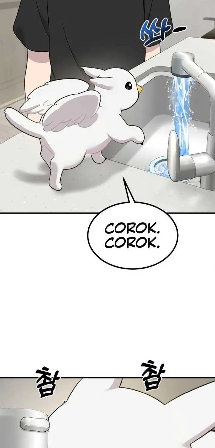 Hello, Griffin the Fluffy Bird! Chapter 2 page 70 - 