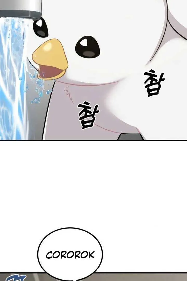 Hello, Griffin the Fluffy Bird! Chapter 2 page 71 - 