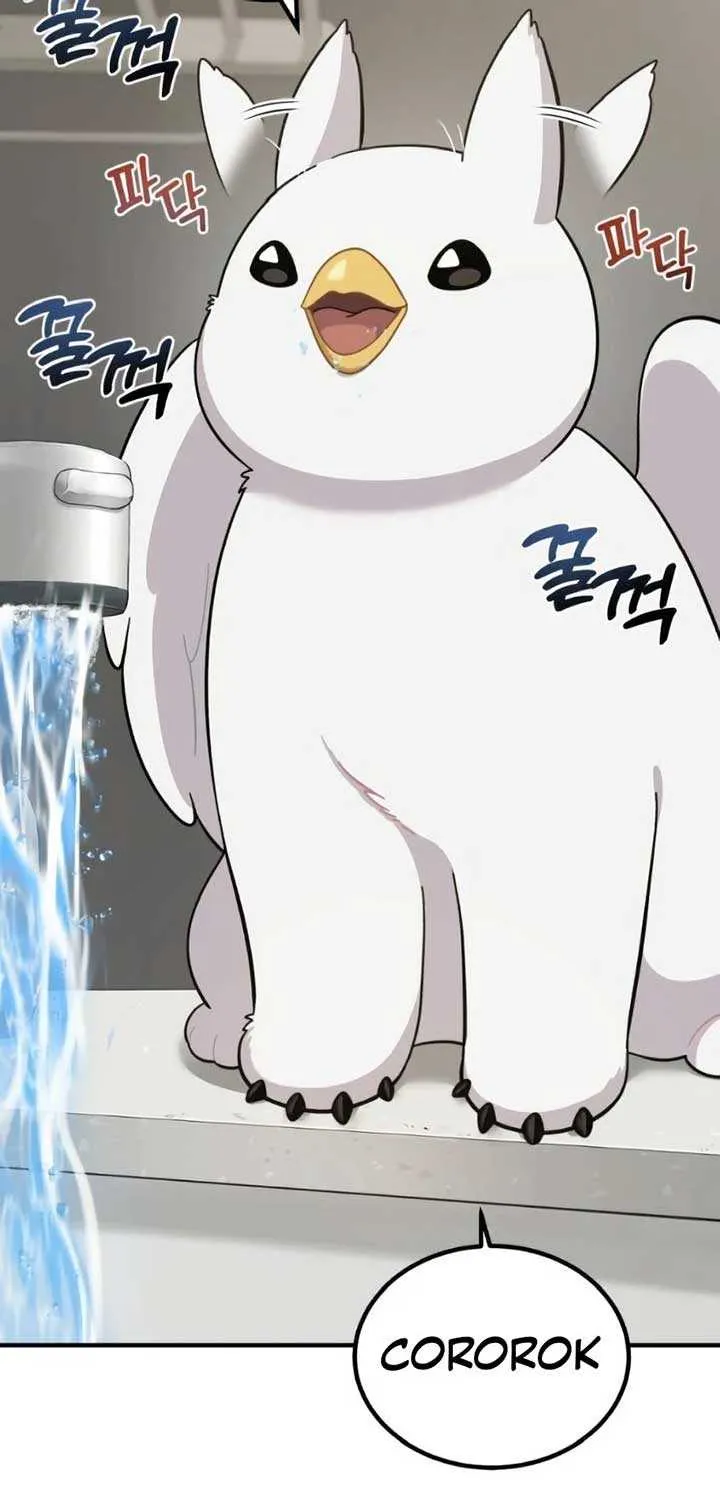 Hello, Griffin the Fluffy Bird! Chapter 2 page 72 - 