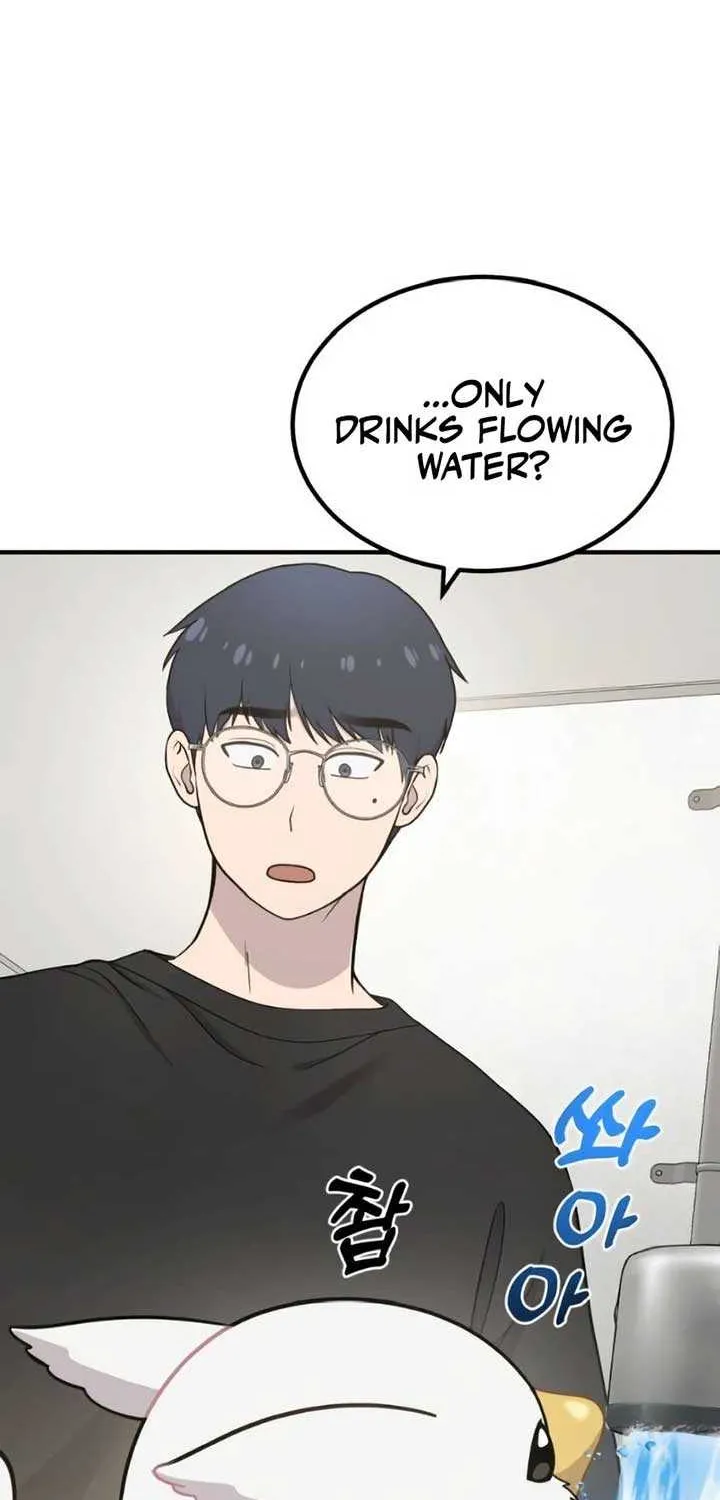 Hello, Griffin the Fluffy Bird! Chapter 2 page 73 - 