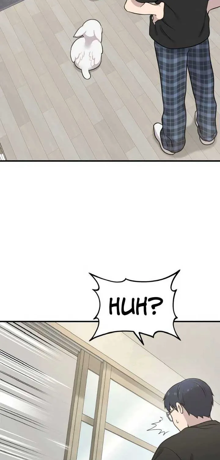 Hello, Griffin the Fluffy Bird! Chapter 2 page 77 - 