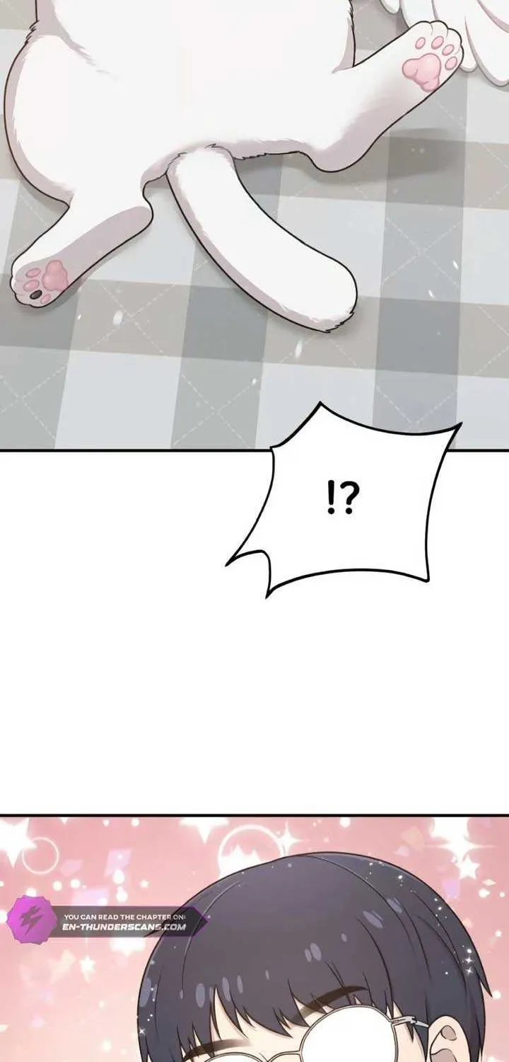 Hello, Griffin the Fluffy Bird! Chapter 2 page 84 - 