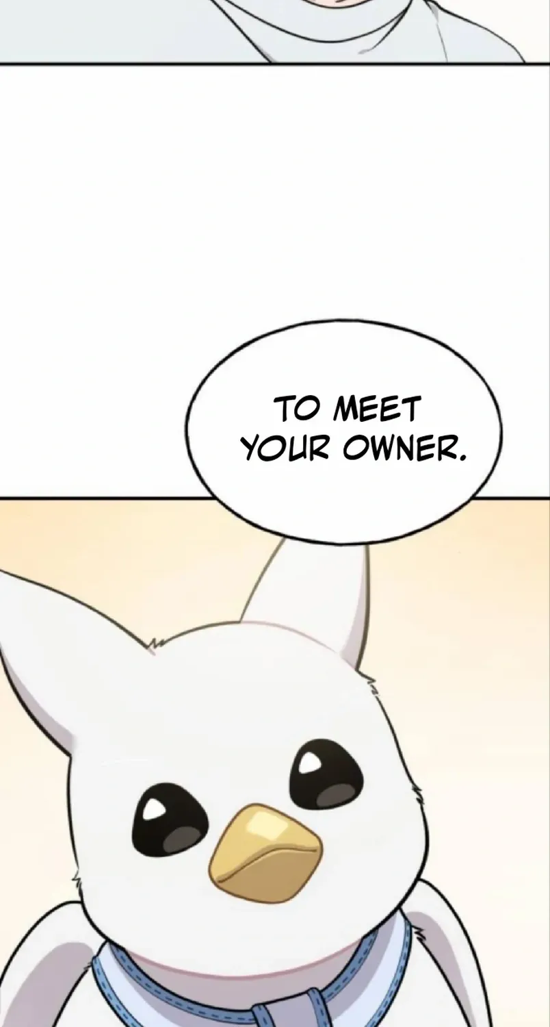 Hello, Griffin the Fluffy Bird! Chapter 20 page 33 - 