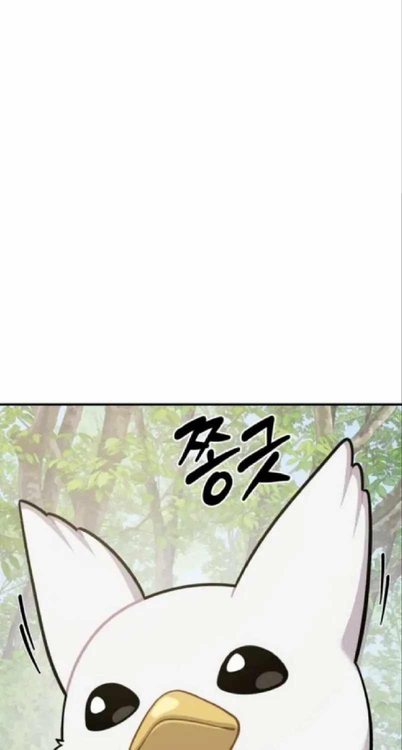 Hello, Griffin the Fluffy Bird! Chapter 20 page 41 - 