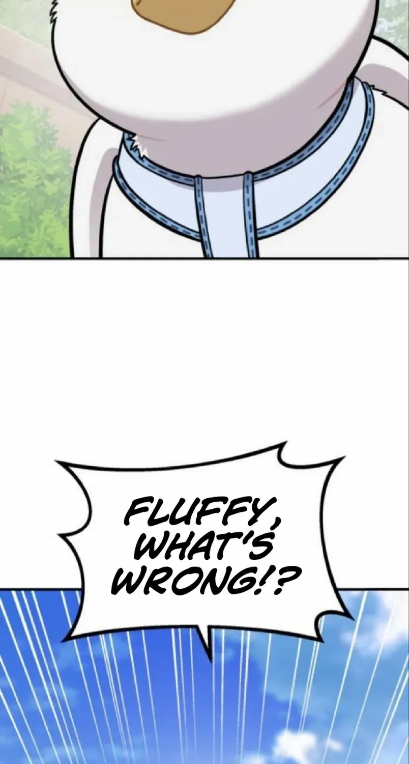 Hello, Griffin the Fluffy Bird! Chapter 20 page 42 - 