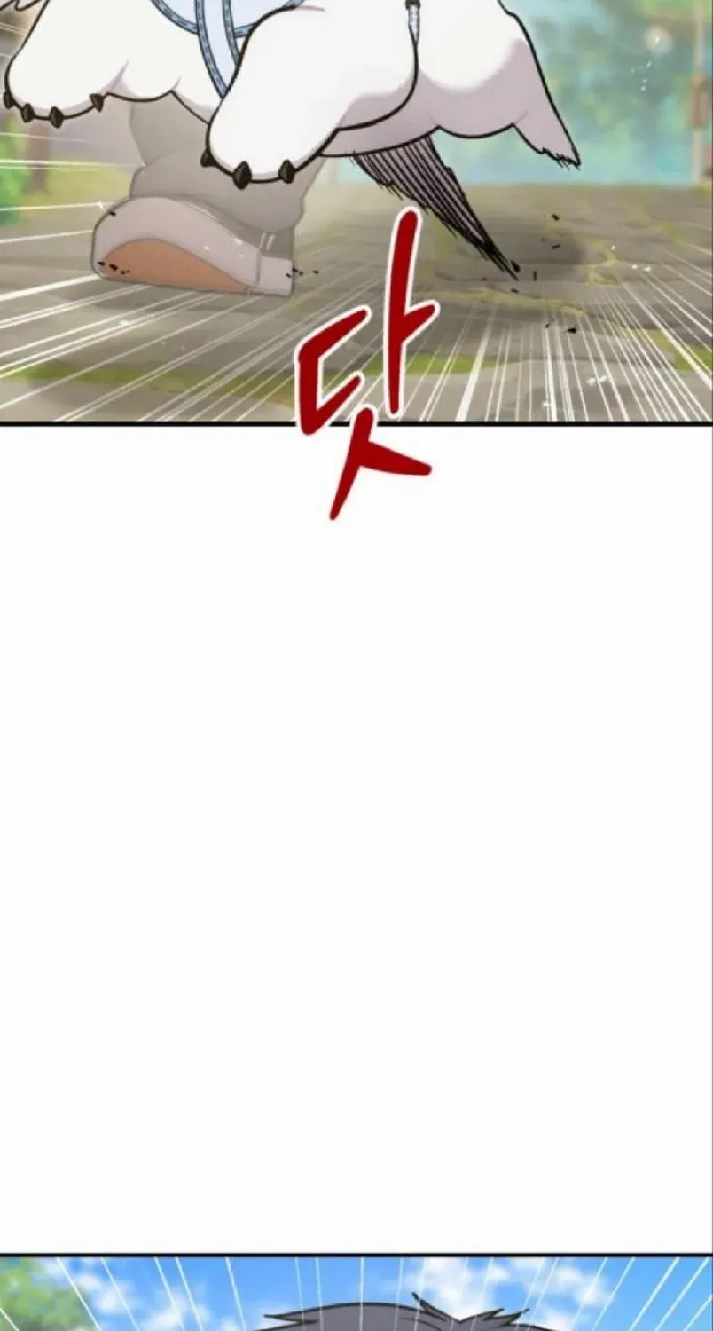 Hello, Griffin the Fluffy Bird! Chapter 20 page 44 - 