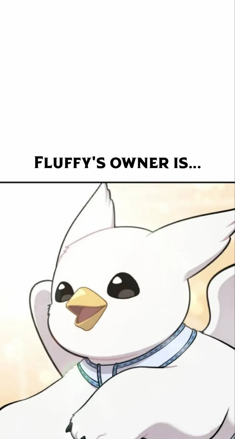 Hello, Griffin the Fluffy Bird! Chapter 20 page 53 - 