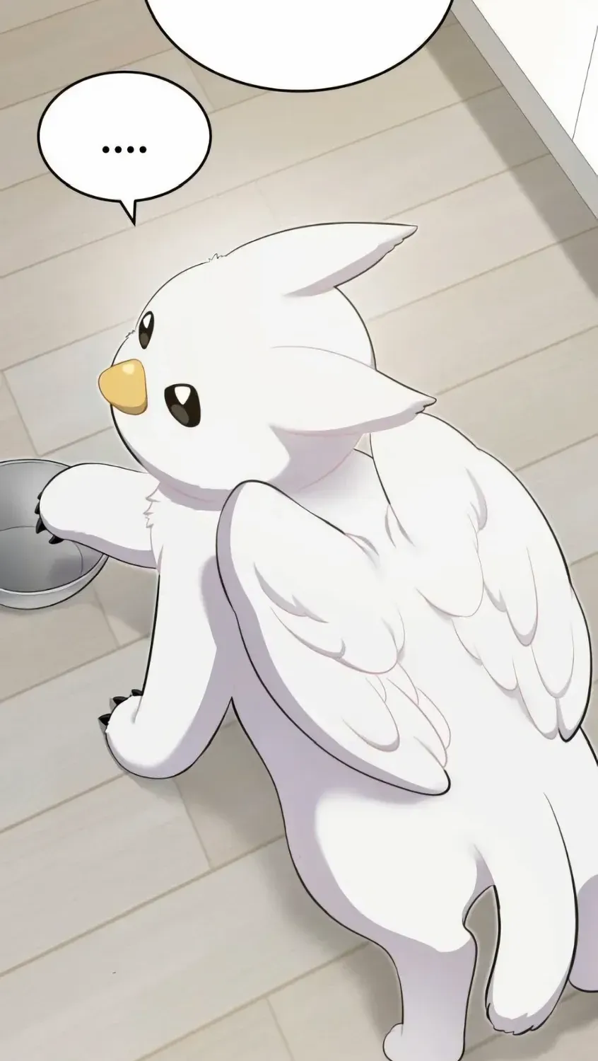 Hello, Griffin the Fluffy Bird! Chapter 3 page 2 - 