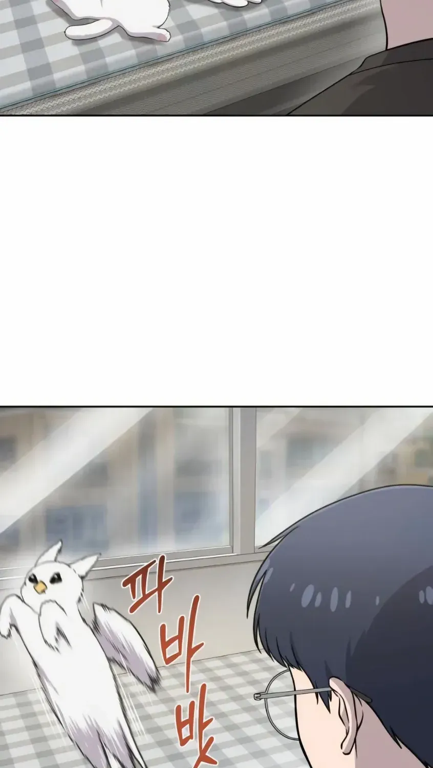 Hello, Griffin the Fluffy Bird! Chapter 3 page 14 - 