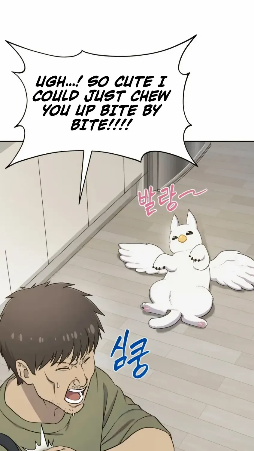 Hello, Griffin the Fluffy Bird! Chapter 3 page 34 - 