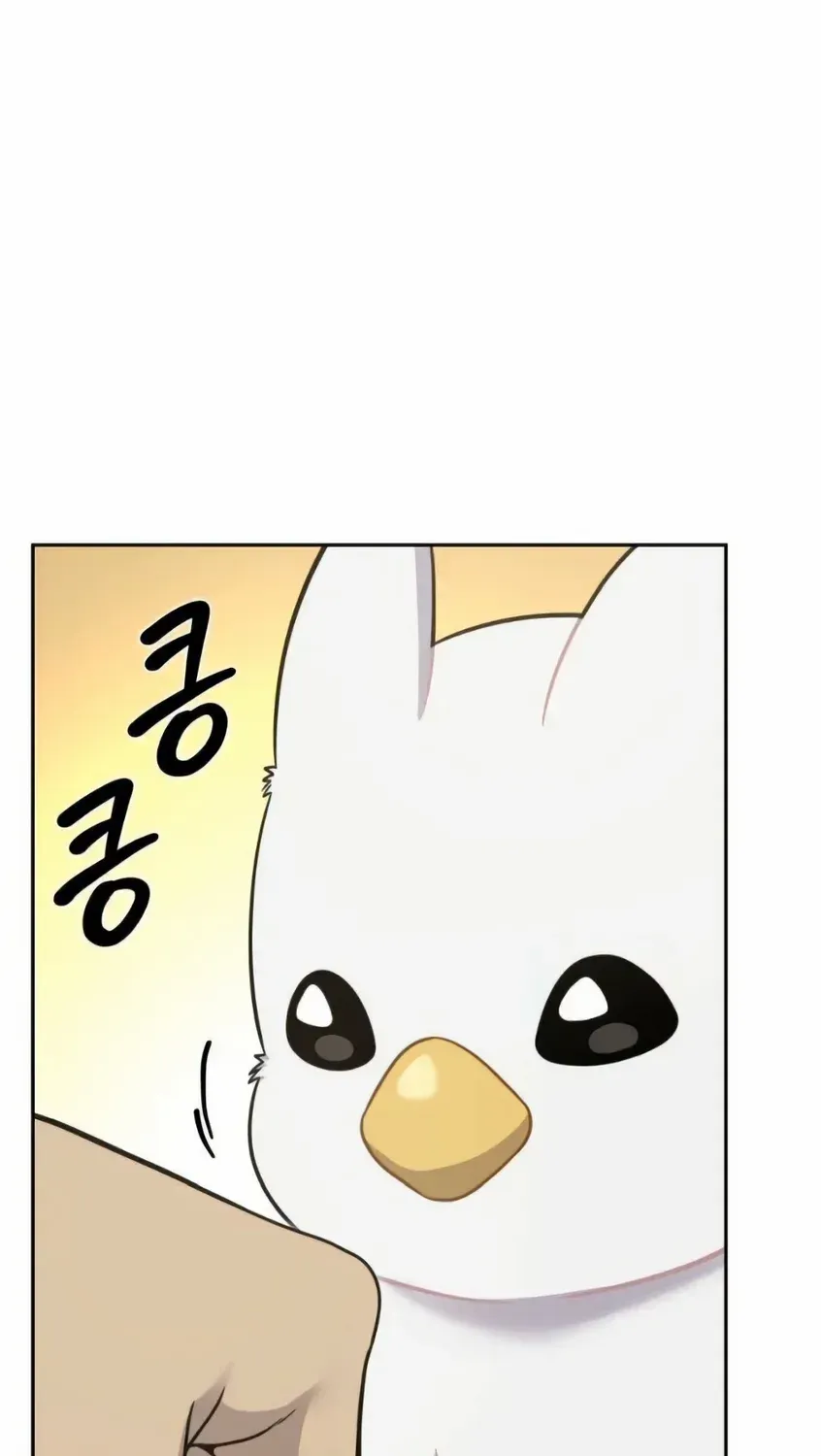 Hello, Griffin the Fluffy Bird! Chapter 3 page 39 - 