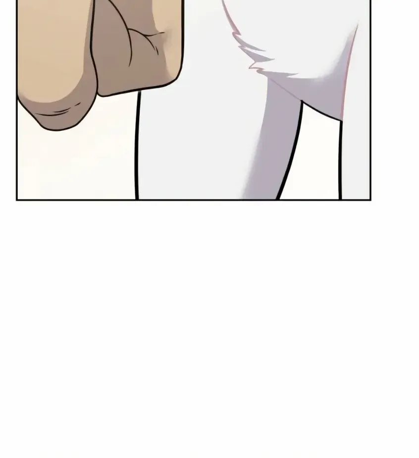 Hello, Griffin the Fluffy Bird! Chapter 3 page 40 - 