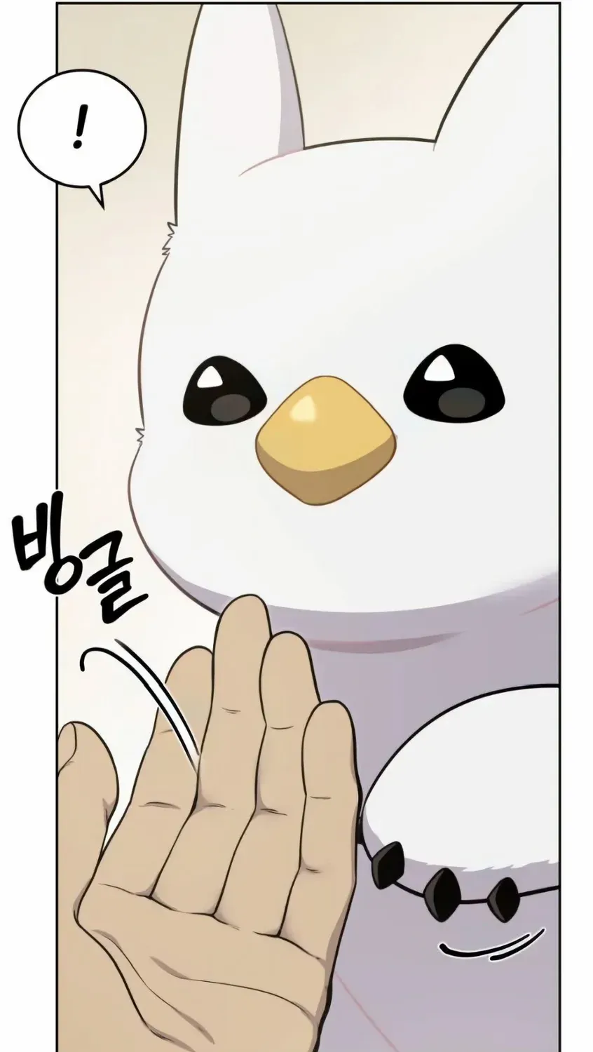Hello, Griffin the Fluffy Bird! Chapter 3 page 41 - 