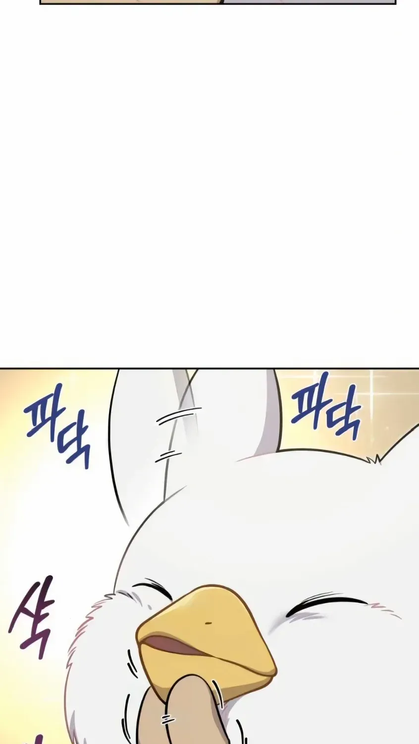 Hello, Griffin the Fluffy Bird! Chapter 3 page 42 - 