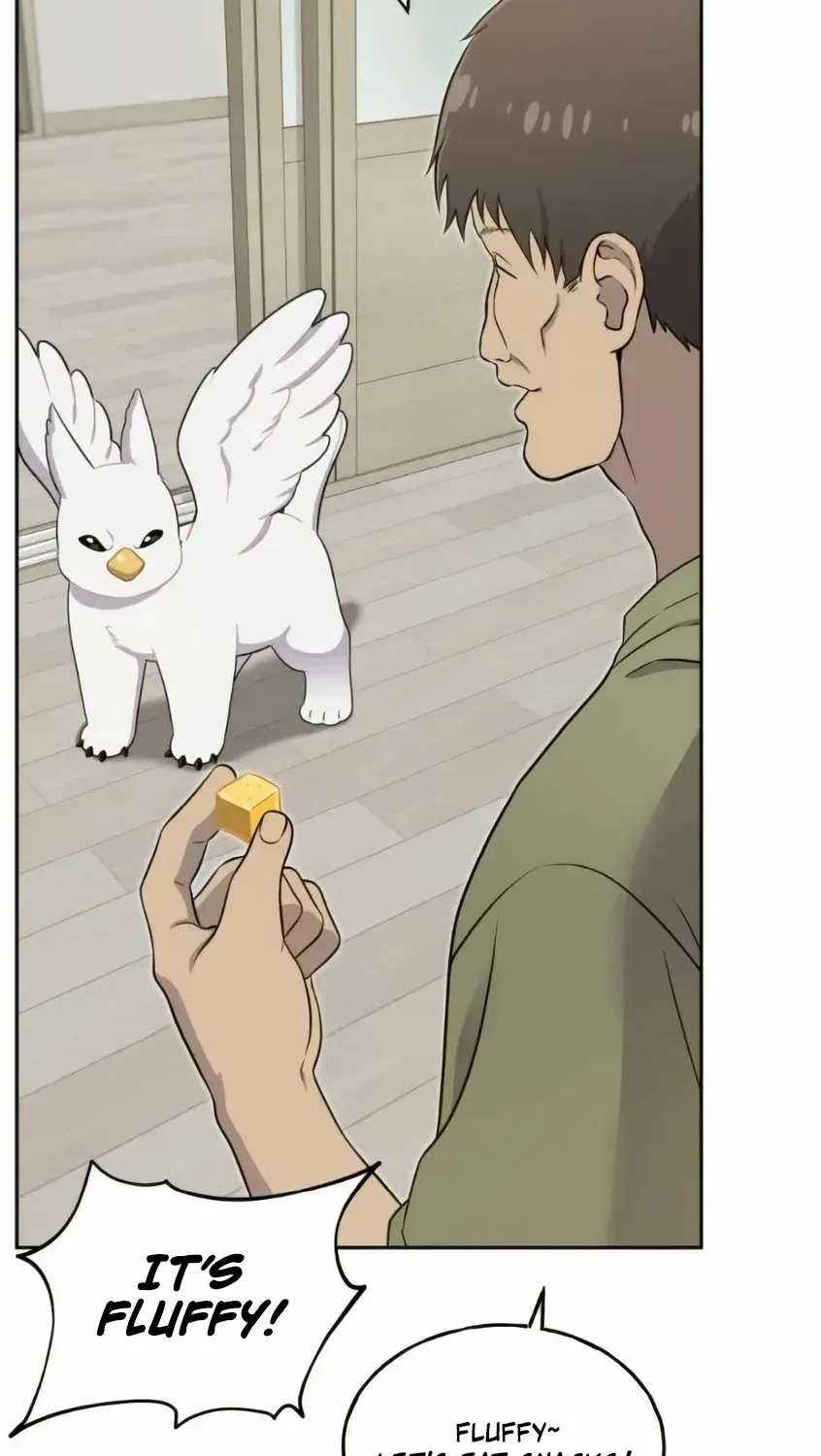 Hello, Griffin the Fluffy Bird! Chapter 3 page 54 - 