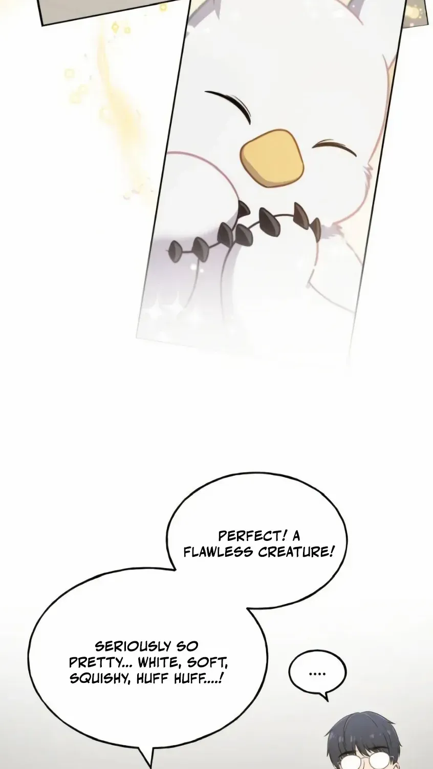 Hello, Griffin the Fluffy Bird! Chapter 3 page 62 - 