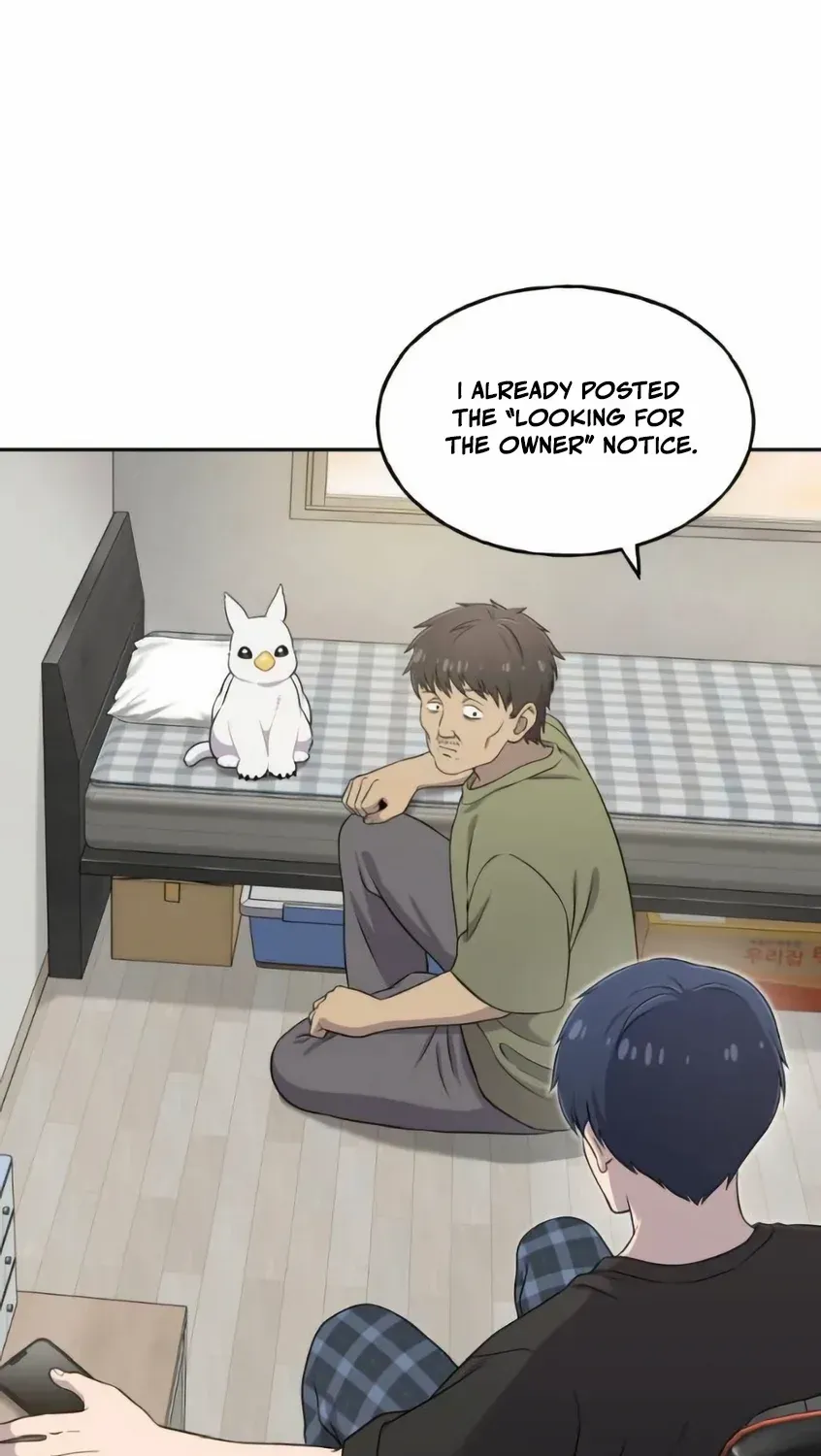 Hello, Griffin the Fluffy Bird! Chapter 3 page 76 - 