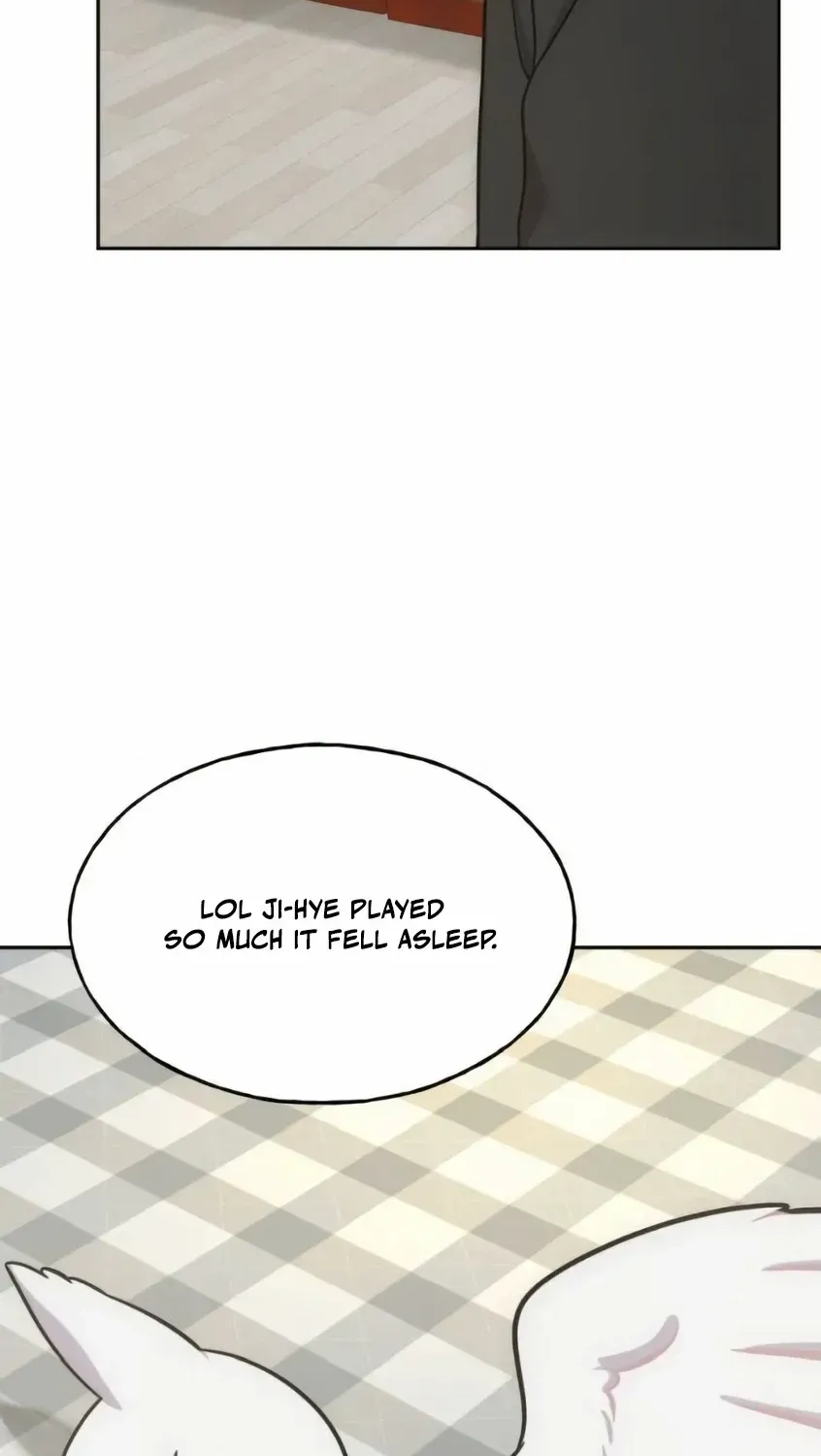 Hello, Griffin the Fluffy Bird! Chapter 3 page 85 - 