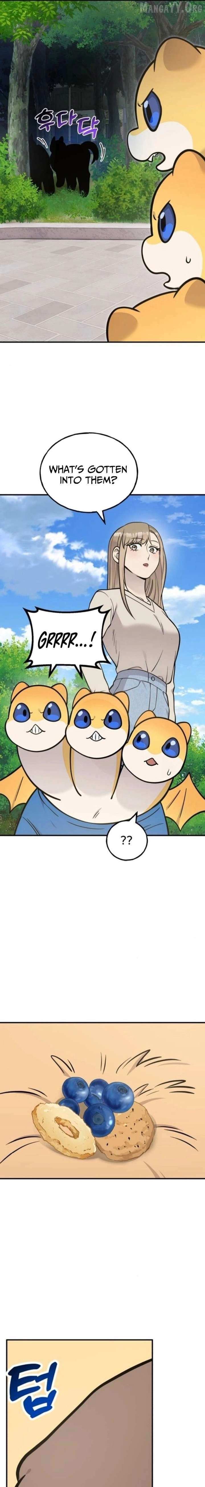 Hello, Griffin the Fluffy Bird! Chapter 38 page 19 - 