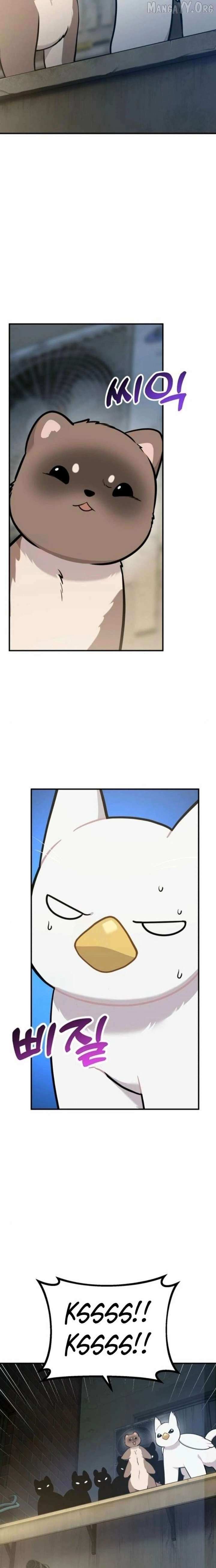 Hello, Griffin the Fluffy Bird! Chapter 38 page 10 - 