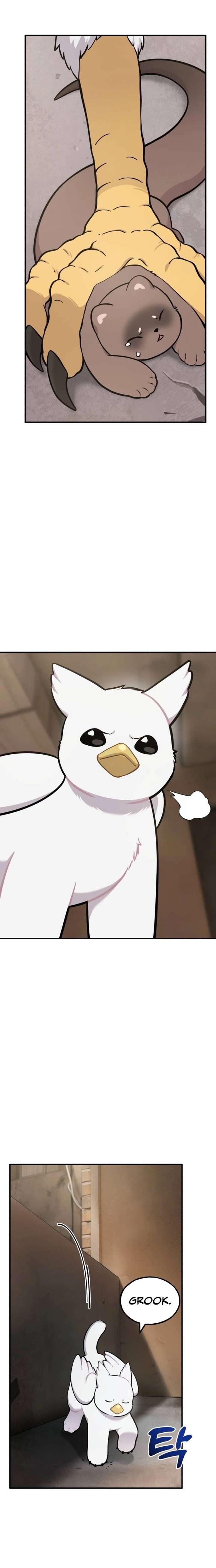 Hello, Griffin the Fluffy Bird! Chapter 39 page 16 - 