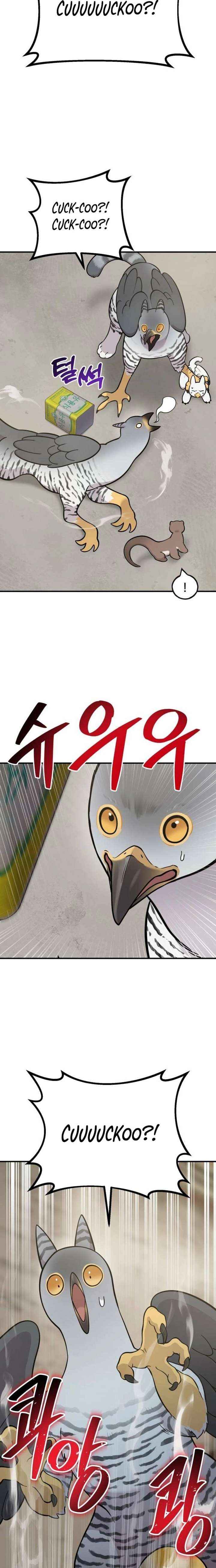 Hello, Griffin the Fluffy Bird! Chapter 39 page 19 - 