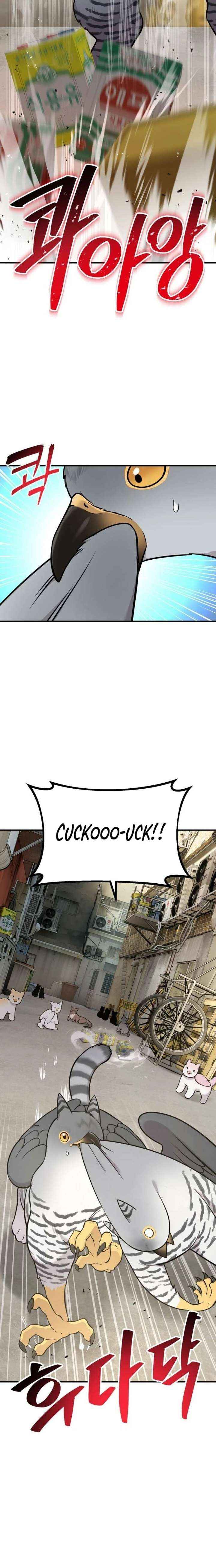 Hello, Griffin the Fluffy Bird! Chapter 39 page 20 - 