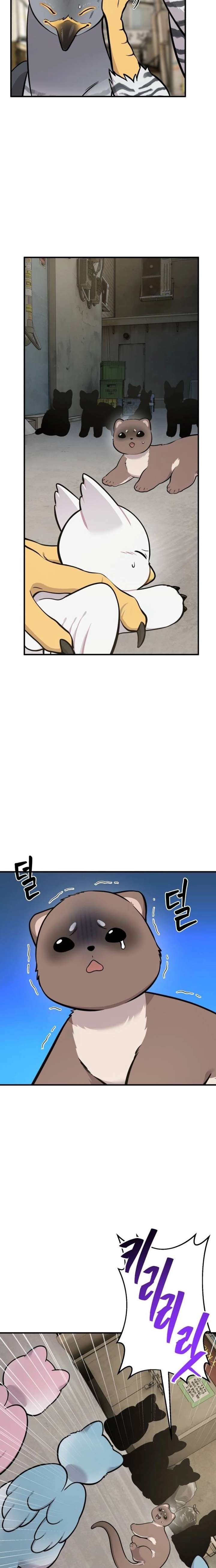Hello, Griffin the Fluffy Bird! Chapter 39 page 9 - 