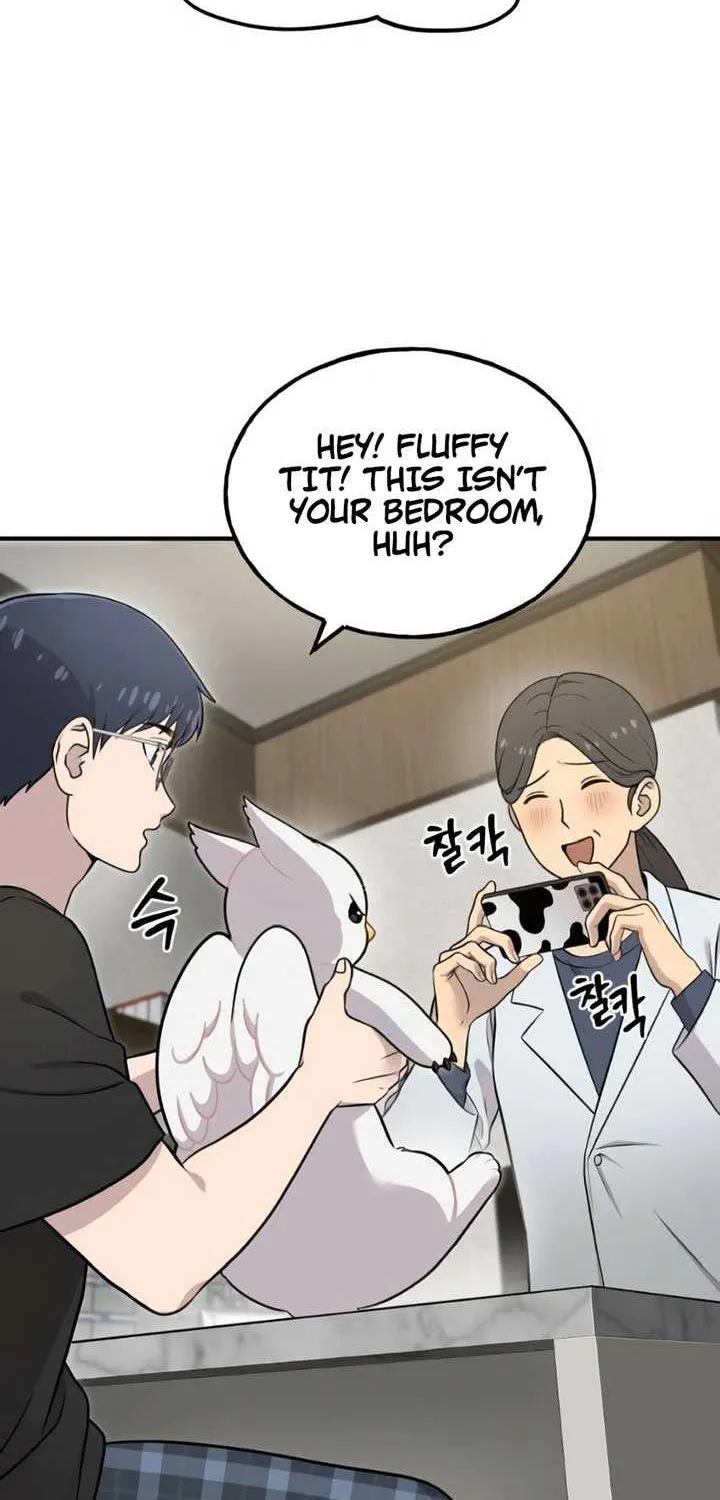 Hello, Griffin the Fluffy Bird! Chapter 4 page 17 - 