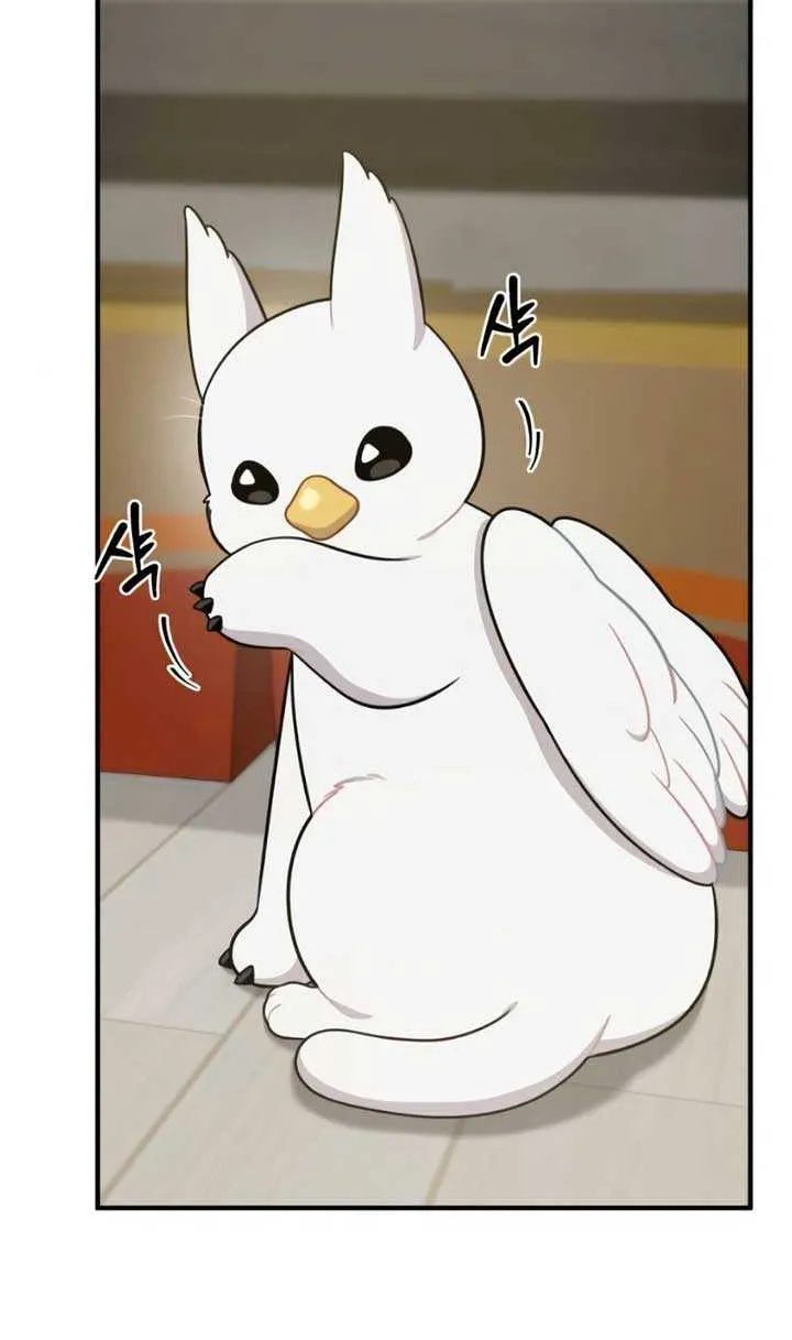 Hello, Griffin the Fluffy Bird! Chapter 4 page 29 - 