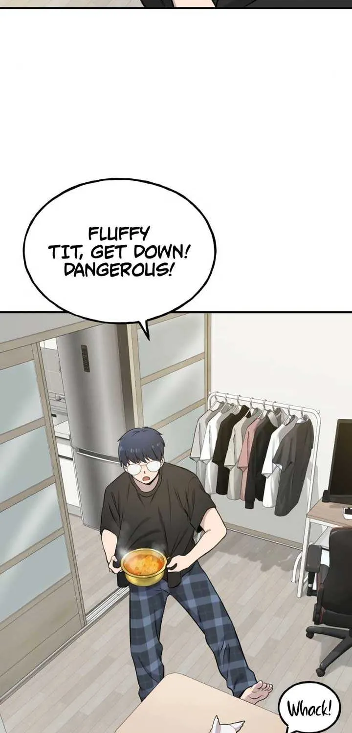 Hello, Griffin the Fluffy Bird! Chapter 4 page 40 - 