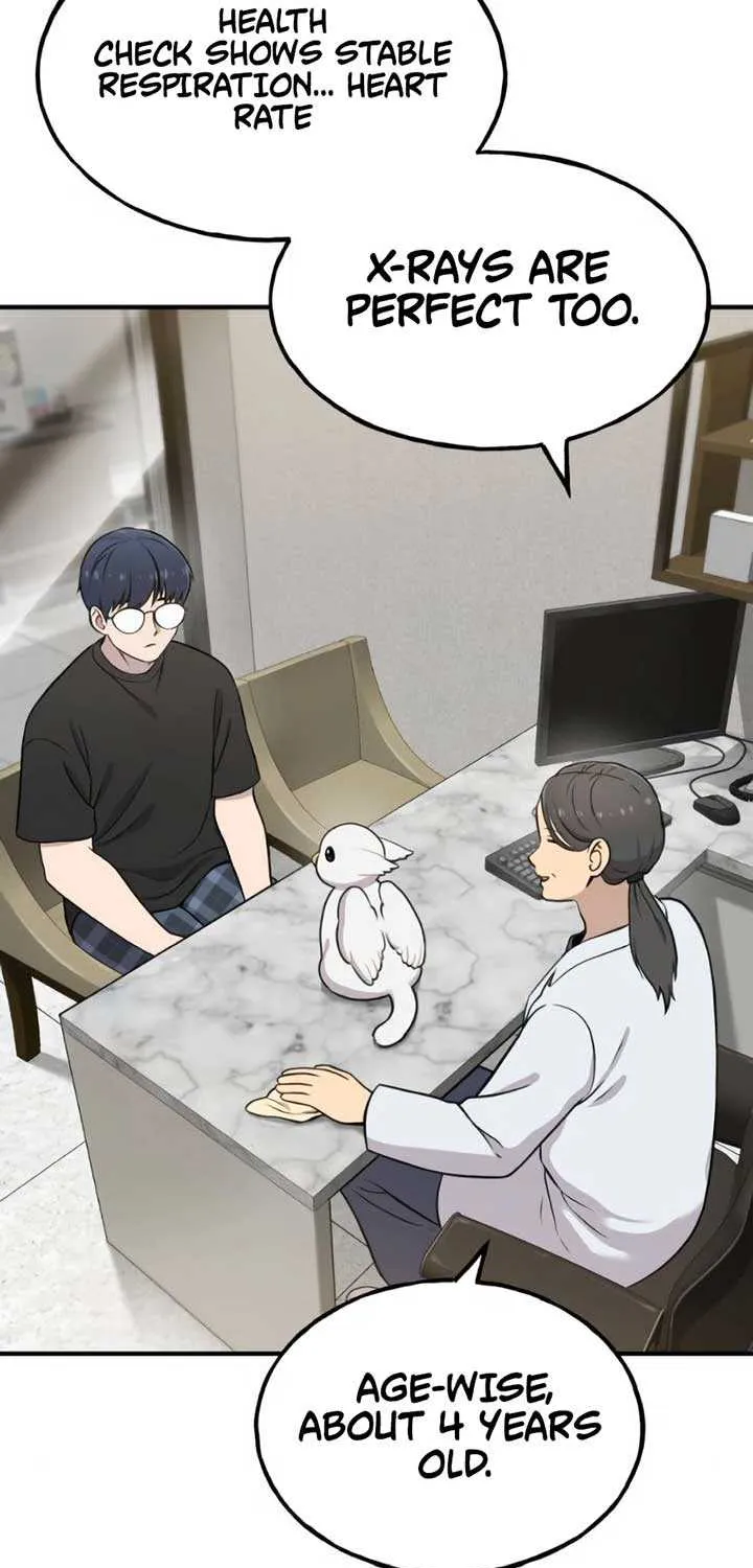 Hello, Griffin the Fluffy Bird! Chapter 4 page 5 - 