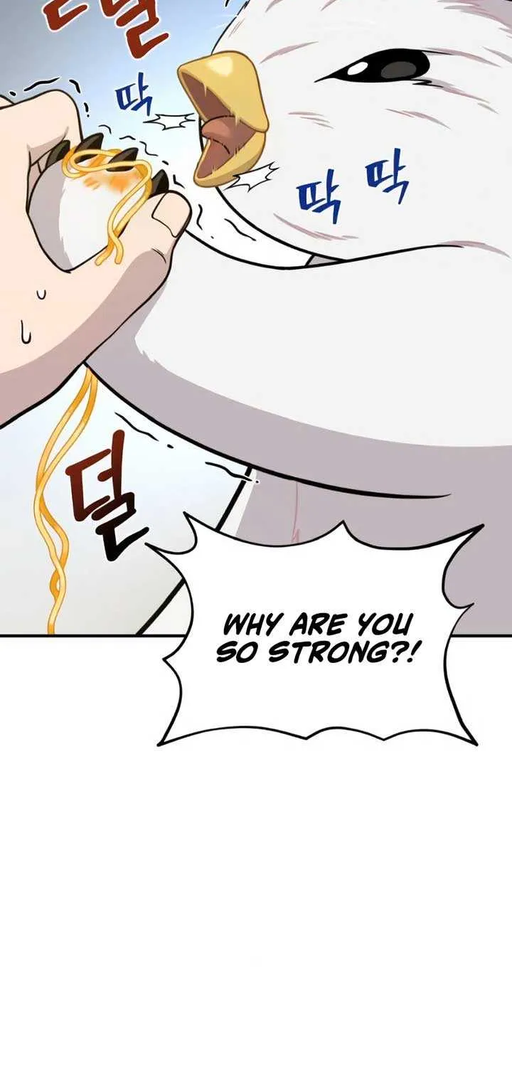 Hello, Griffin the Fluffy Bird! Chapter 4 page 57 - 