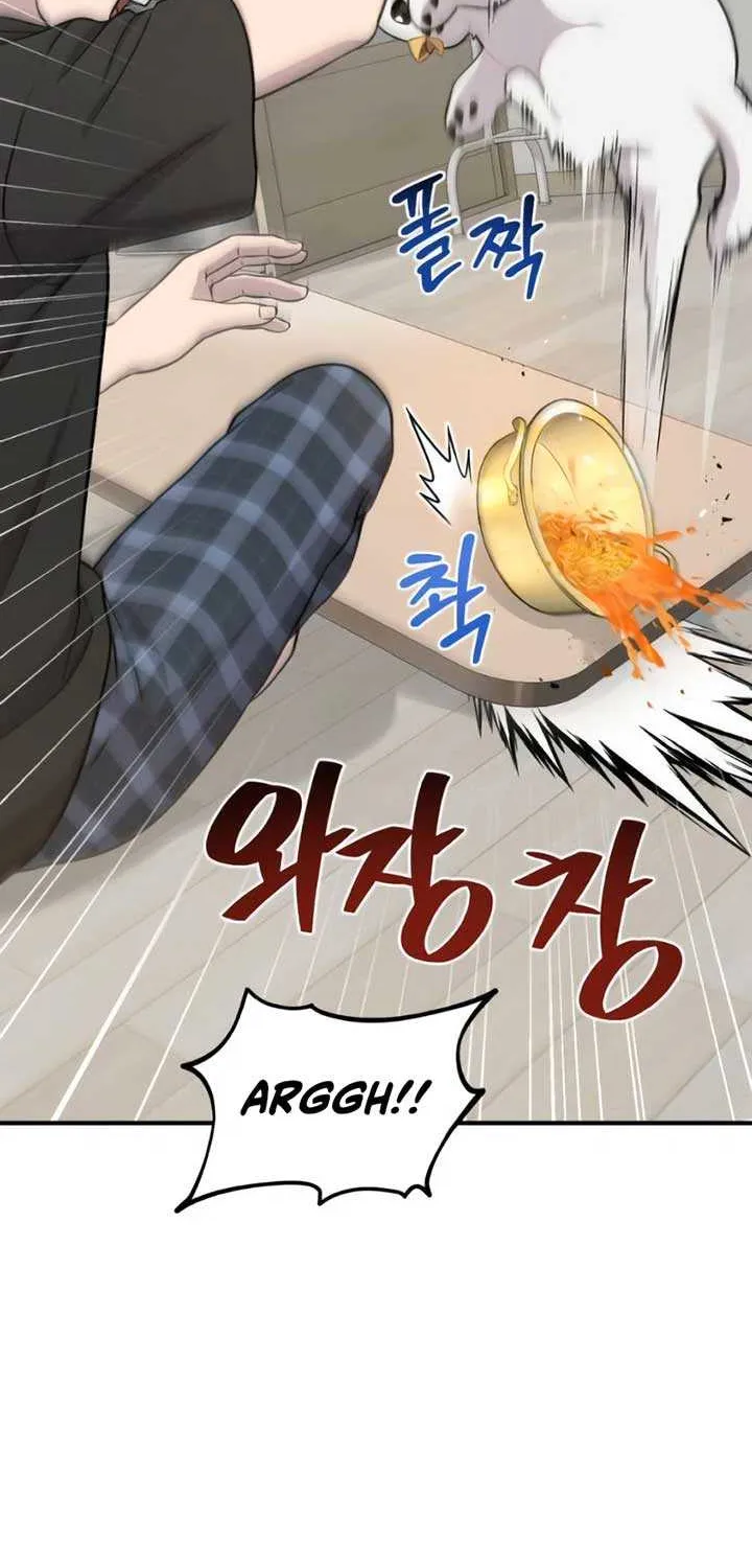 Hello, Griffin the Fluffy Bird! Chapter 4 page 60 - 