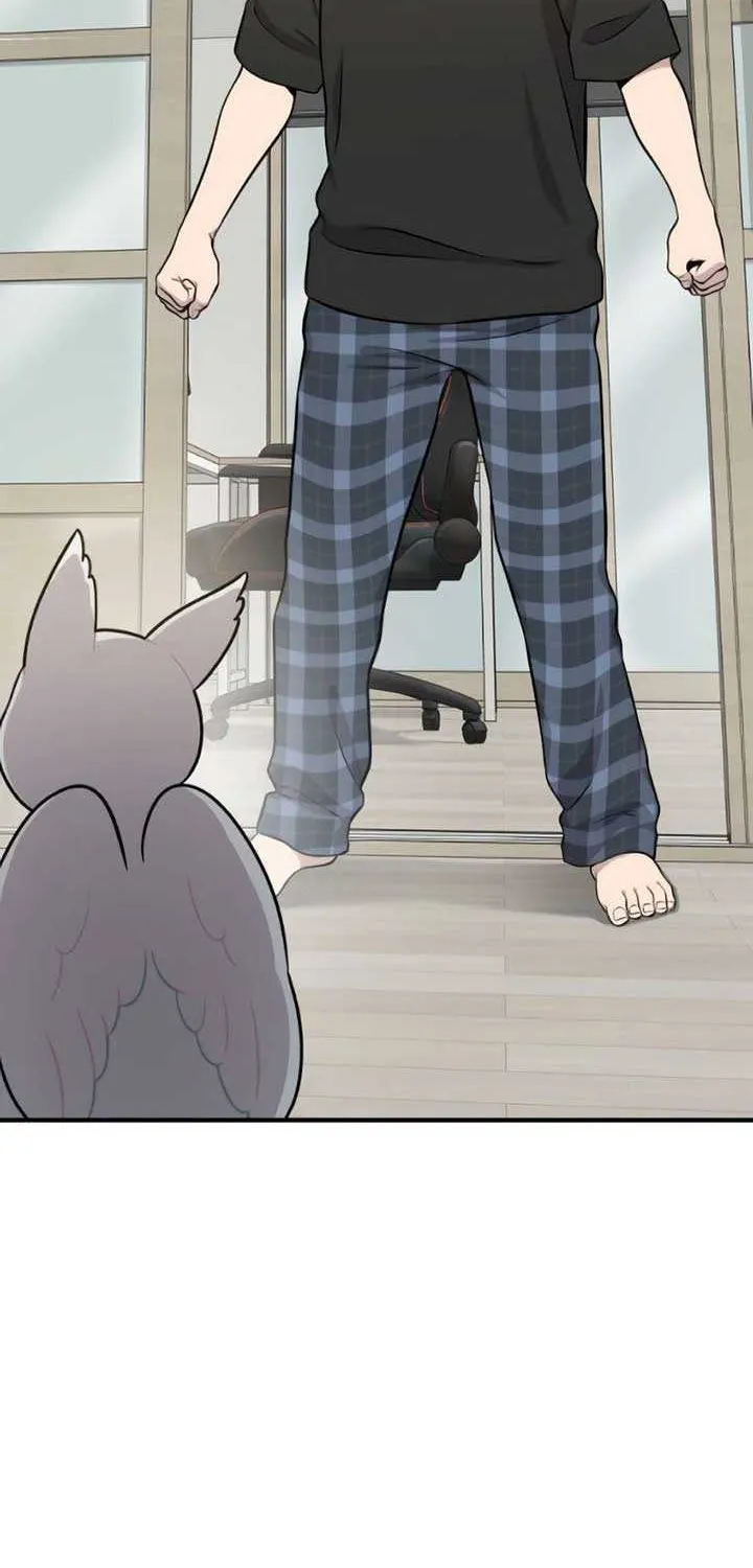 Hello, Griffin the Fluffy Bird! Chapter 4 page 64 - 