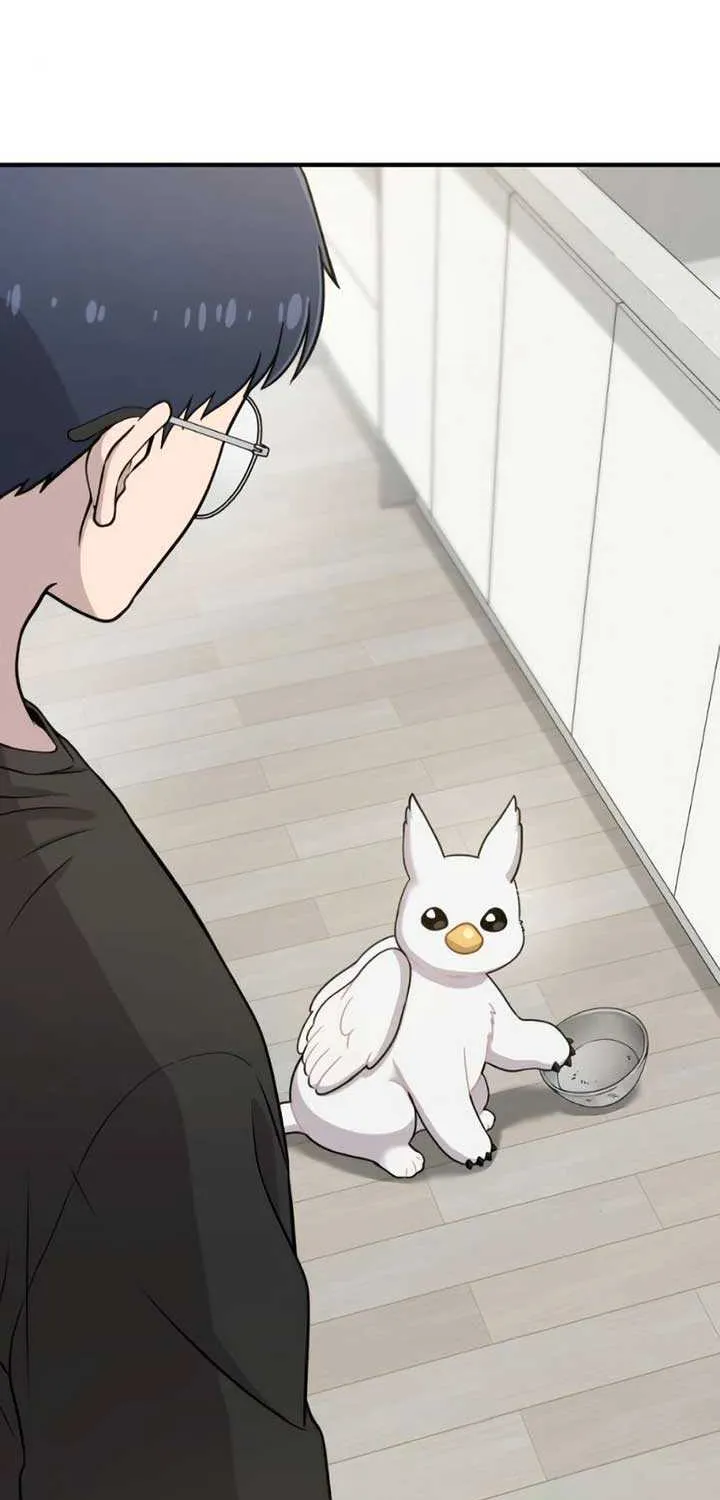 Hello, Griffin the Fluffy Bird! Chapter 4 page 65 - 