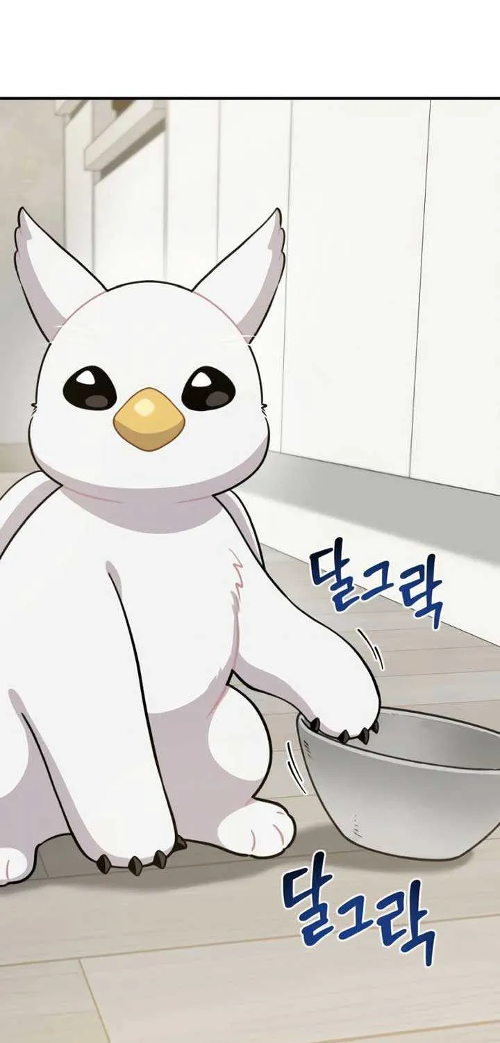 Hello, Griffin the Fluffy Bird! Chapter 4 page 67 - 