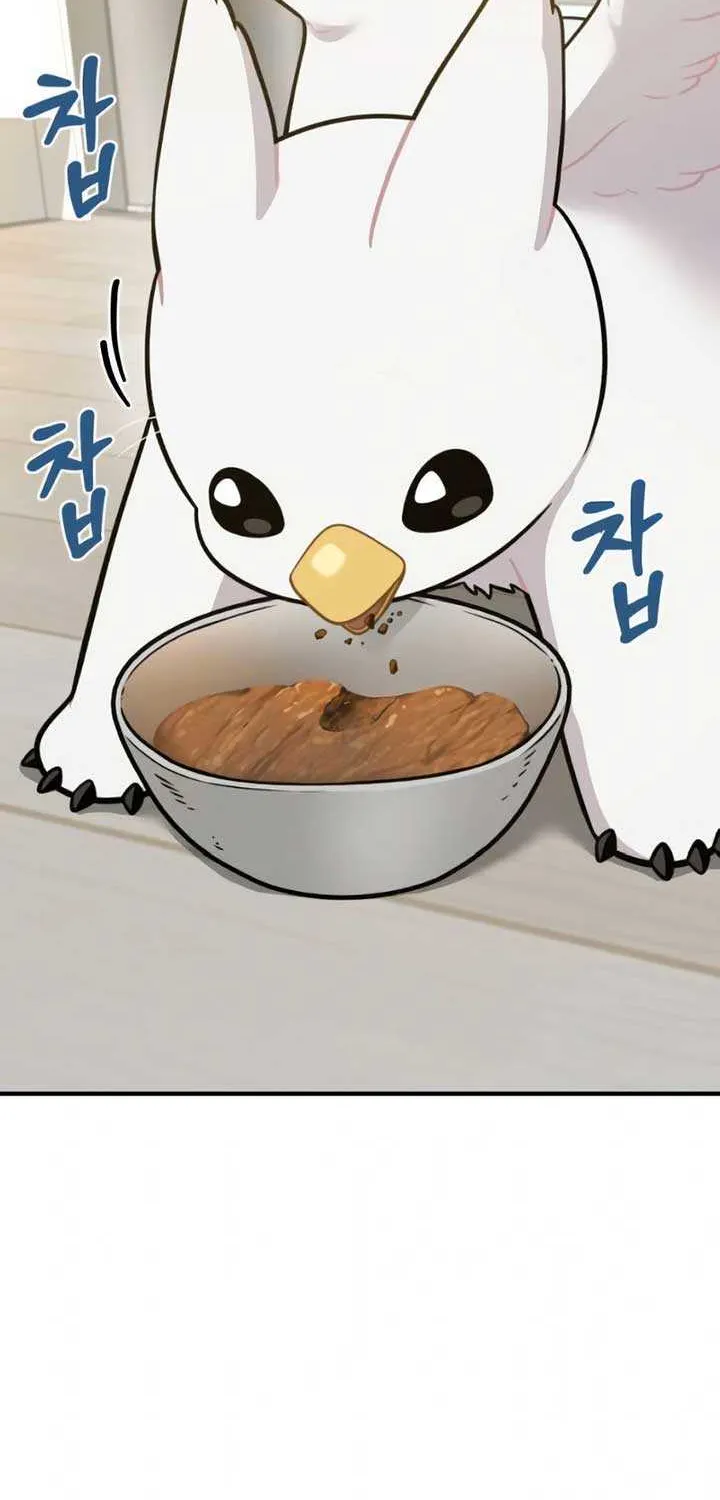 Hello, Griffin the Fluffy Bird! Chapter 4 page 72 - 