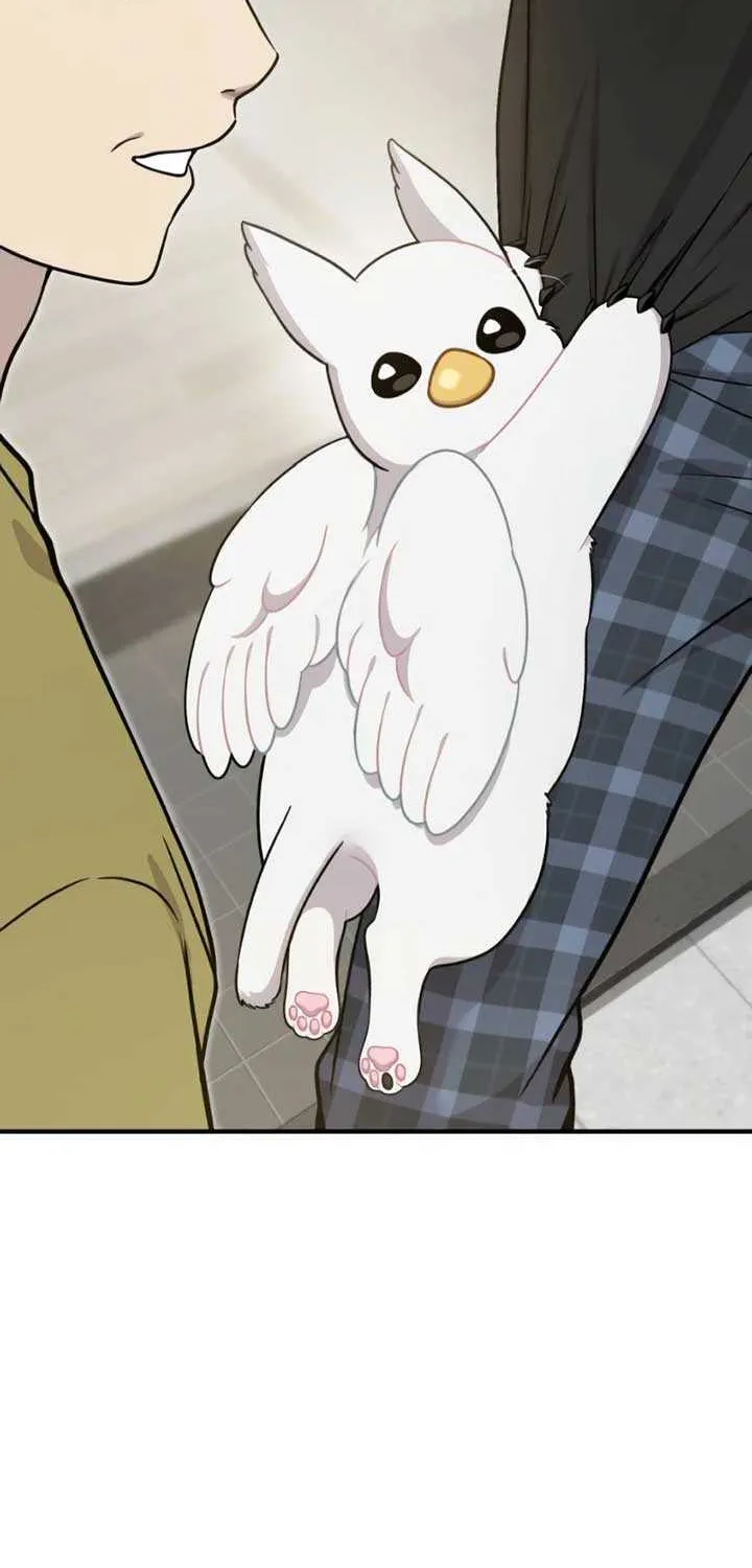 Hello, Griffin the Fluffy Bird! Chapter 4 page 88 - 