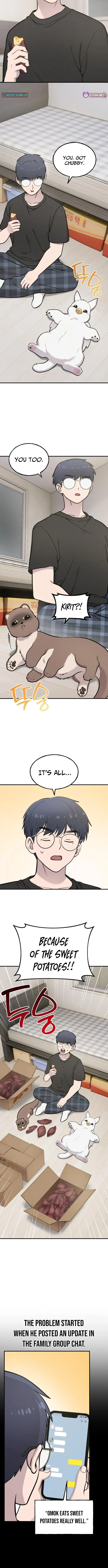 Hello, Griffin the Fluffy Bird! Chapter 47 page 8 - 